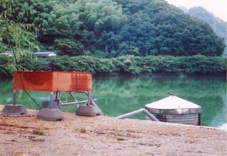 ミクロバブルとＵＥ酵素と睡蓮でトリプル効果